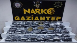 Gaziantepte 51 kilo skunk ele geçirildi