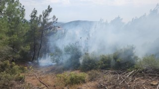 Geliboluda yıldırım düşmesi sonucu çıkan orman yangınına havadan ve karadan müdahale ediliyor