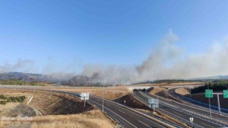 Geliboluda zirai alanda yangın çıktı