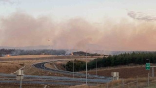 Geliboludaki yangın askeri bölgede devam ediyor