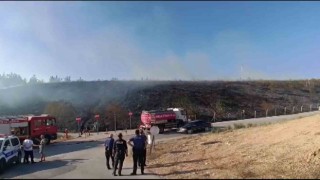 Gençlerin tehlikeli oyunu ormanı yakacaktı