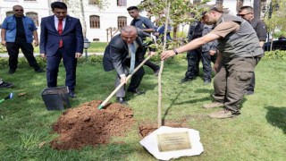 Gençlik ve Spor Bakanı Osman Aşkın Bak, kendi adına hazırlanan çınar ağacı fidesi toprakla buluşturdu