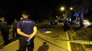 Hafif ticari araç palmiye ağacına ve aydınlatma direğine çarptı: 2 ölü