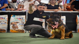 Hayatını köpeklerine adadı, şimdi de gözünü dünya şampiyonluğuna dikti