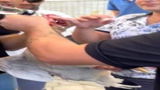 Horoza alkol içirip işkence eden 5 kişiye 27 bin lira ceza kesildi