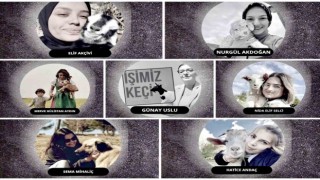 İnegölde küçükbaş hayvancılık festivali başlıyor