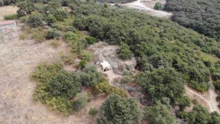 İnkaya Mağarası kazıları Türk Tarih Kurumu destekli kazı statüsüne dönüştürüldü