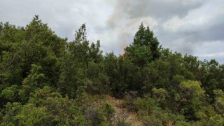 Ispartada bahçe temizliği orman yangınına neden oldu