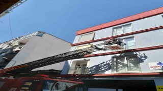 İtfaiye ekipleri, sıkışan kumru yavrusu için seferber oldu