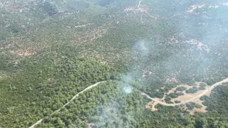 İzmir Selçuktaki orman yangını kontrol altına alındı