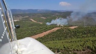 İzmirde orman yangını