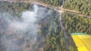 İzmirde orman yangınına havadan ve karadan müdahale sürüyor