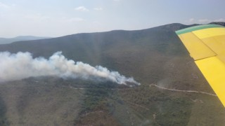 İzmirde orman yangınına havadan ve karadan müdahale sürüyor