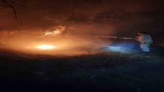 İzmirde ormanlık alanda yangın