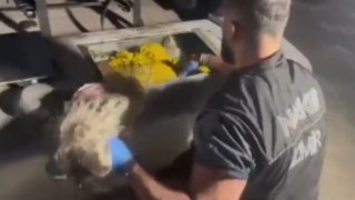 İzmirde tırın akaryakıt deposundan yaklaşık 58 kilo uyuşturucu çıktı