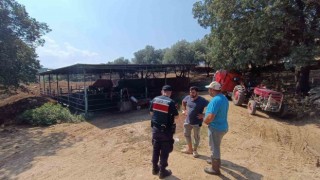Jandarma ekipleri hayvan sahiplerini uyardı
