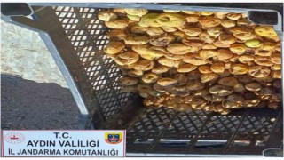 Jandarma incir hırsızlarına göz açtırmıyor