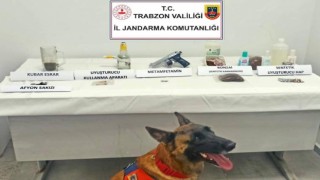 Jandarma narkotik köpeği ‘Limon ilk operasyonunda tespit etti