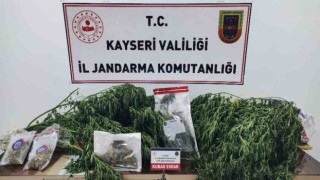 Jandarmadan bağ evine uyuşturucu operasyonu