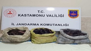 Kablo çalan iki hırsız, jandarma ekiplerince yakalandı