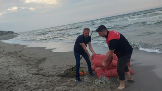Kaçak avlanılan 5 bin 500 kilo kum şırlanı denize bırakıldı