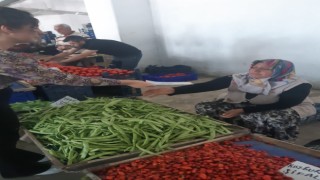 Kadına yönelik şiddetle mücadele eylem planı sürüyor