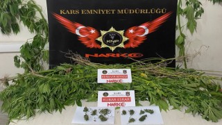 Kağızmanda esrar ve hint keneviri ele geçirildi