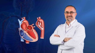 Kanda yüksek yağ oranı Aort yırtılmasına neden oluyor