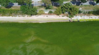 Kapatılan Florya Sahilinde deniz yeşile büründü