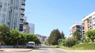 Kapılarına dayanan domuz sürüsü yüzünden siteye giremeyen mahalleli çözüm bekliyor