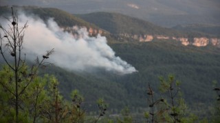 Karabük Valisi Yavuzdan yangın açıklaması: Karadan müdahale devam ediyor