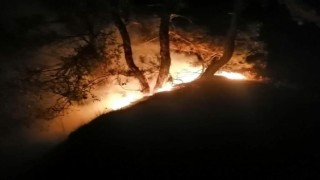 Karabükte orman yangını: 5 dönüm alan zarar gördü