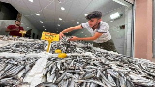Karadenizde hamsi bolluğu: Kilosu 40 TL