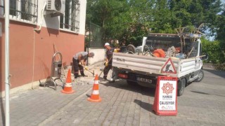 Kareside sonbahar hazırlığı