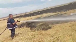Karsta örtü yangınları söndürüldü