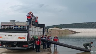 Kastamonuda göletlere 1 milyon balık salındı