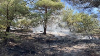 Kastamonuda orman yangını: Ekiplerin müdahalesi ile kısa sürede söndürüldü