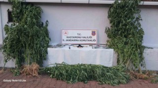 Kastamonuda uyuşturucuyla yakalanan 4 kişi gözaltına alındı