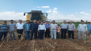 Kaymakam Seyhan ayçiçeği hasadına katıldı