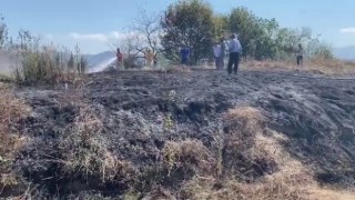 Kdz. Ereğli ilçesinde fındık bahçesi yandı