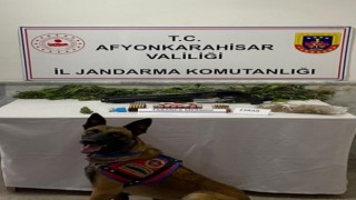 Kenevir yetiştiren şahıs yakalandı