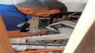 Klimada sıkışan kedi, itfaiye sayesinde annesine kavuştu