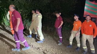 Kocaelide orman yangını