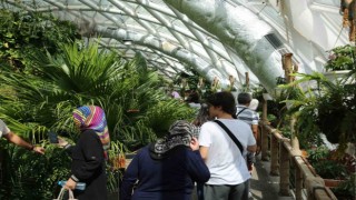 Konya Tropikal Kelebek Bahçesi ziyaretçi sayısında yeni rekor