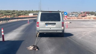 Köpeği aracına bağlayıp sürükledi