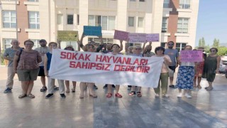 Köyceğizde sokak hayvanları için yürüdüler