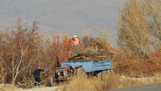 Köylerde kışlık odun hazırlığı