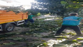Kuşadası Belediyesinin kış hazırlıkları işe yaradı