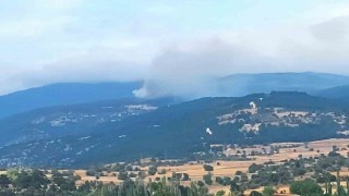 Kütahyada orman yangını