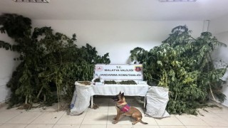Malatyada zehir tacirlerine büyük darbe